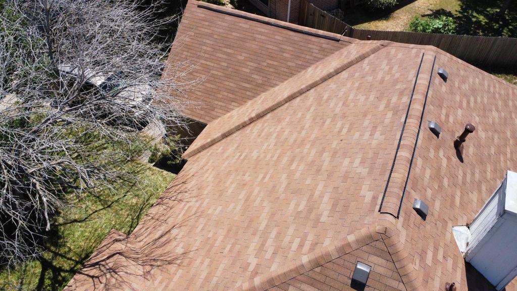 Trees & a roof