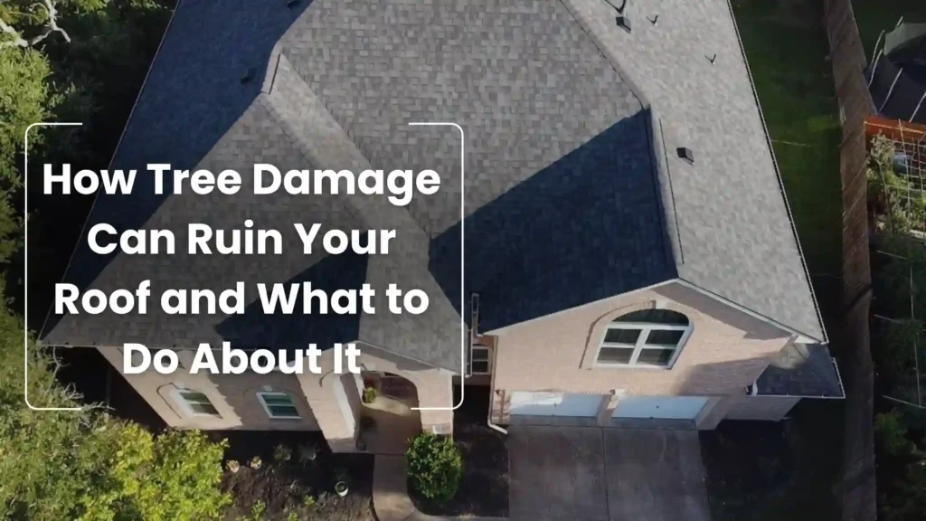 How Tree Damage Can Ruin Your Roof and What to Do About It Image