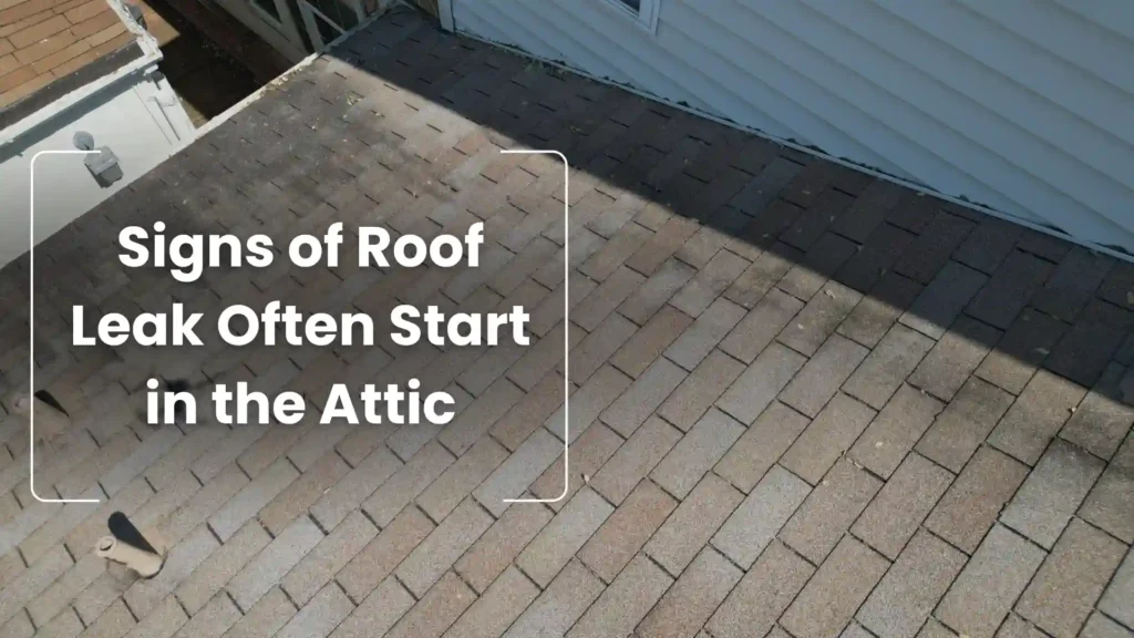 Signs of roof leak starting in the attic, showing shingles and roof surface.