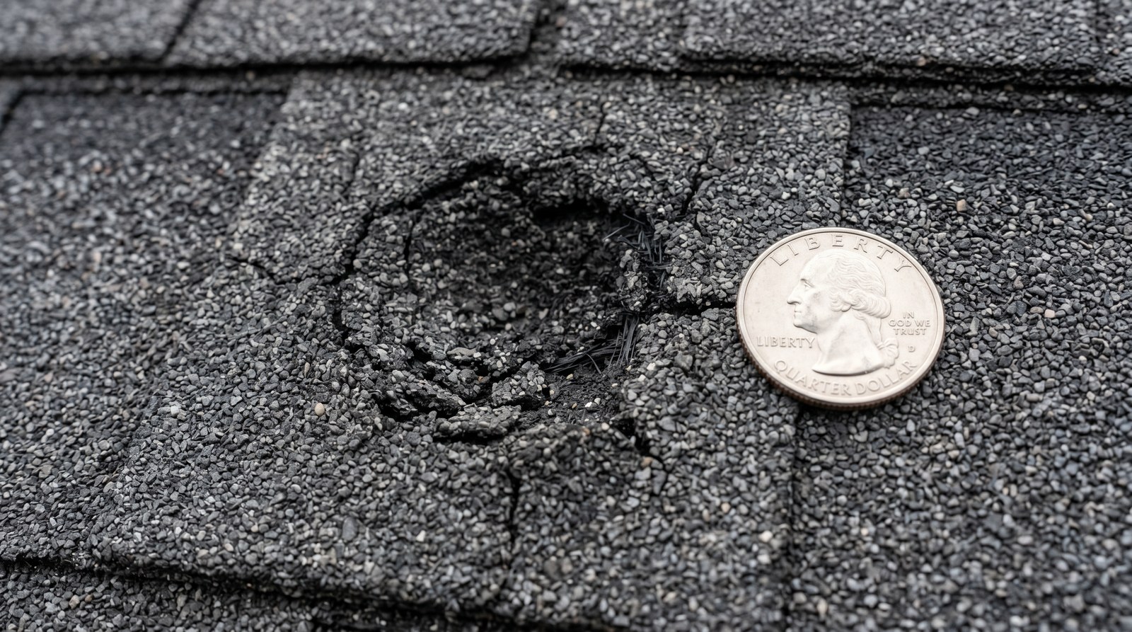 Close-up of hail impact damage on asphalt shingle with quarter for scale