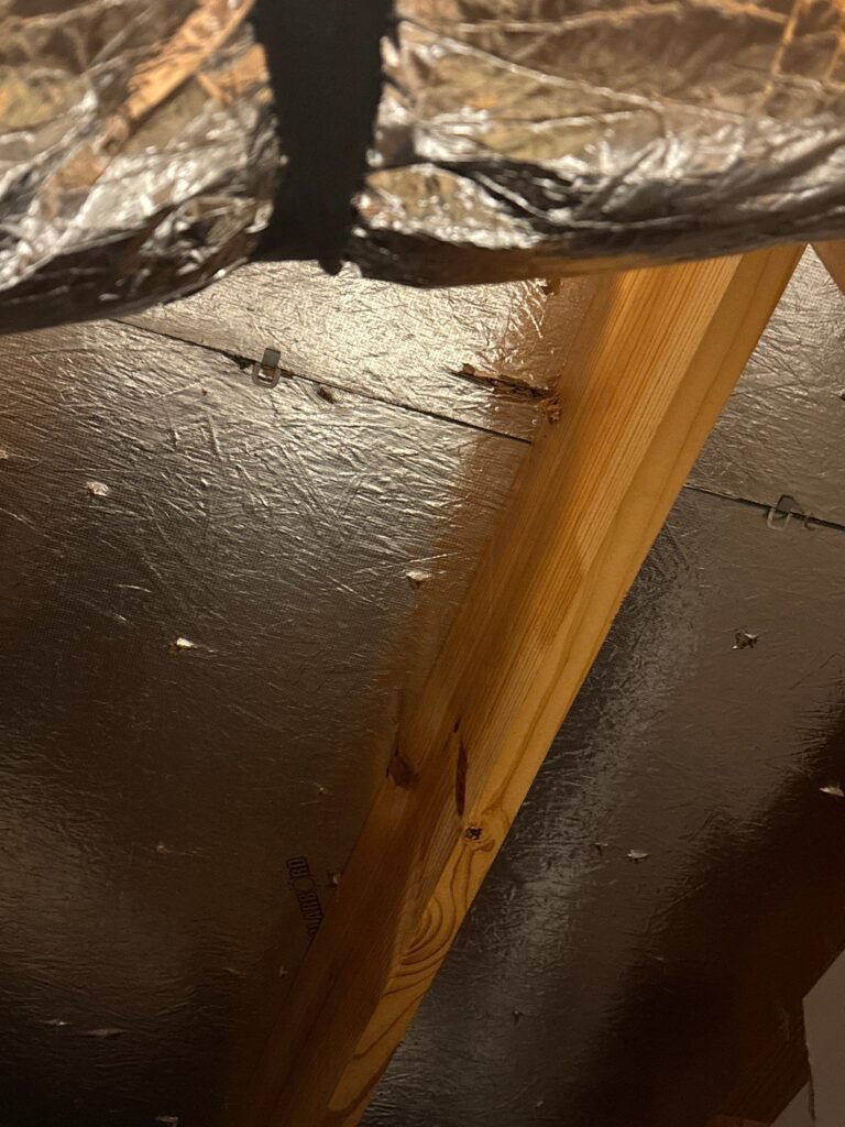 free roof inspection Austin TX