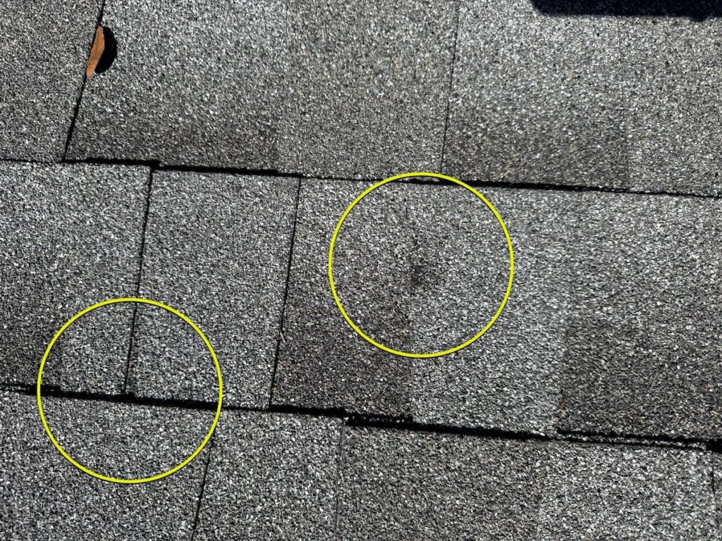 Close-up of hail impact marks on asphalt shingles on an Austin Texas residential roof showing granule displacement