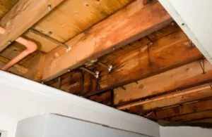 signs of storm damage